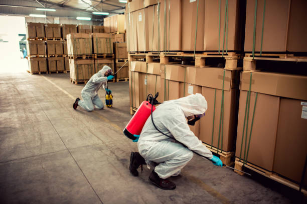 Best Pest Control Near Me  in Fairfax, MN