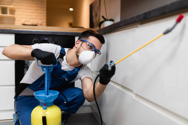 Best Flea Control Services  in Fairfax, MN