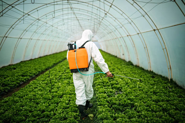 Best Emergency Pest Control  in Fairfax, MN