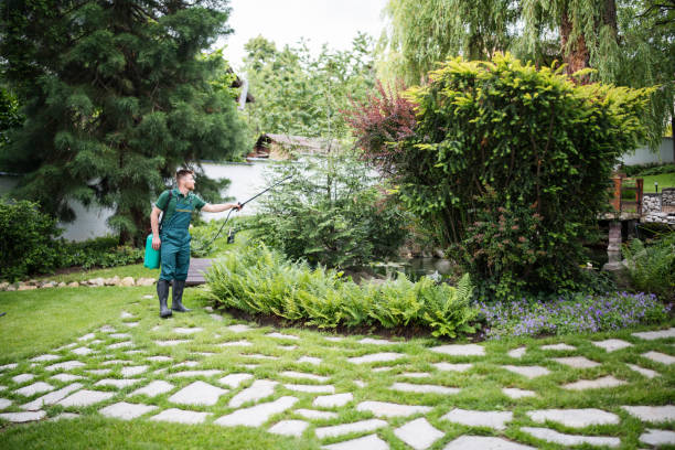 Best Local Pest Control Services  in Fairfax, MN