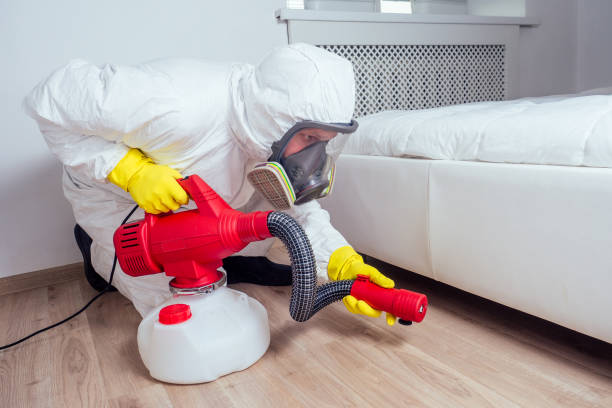 Best Rat Extermination Near Me  in Fairfax, MN