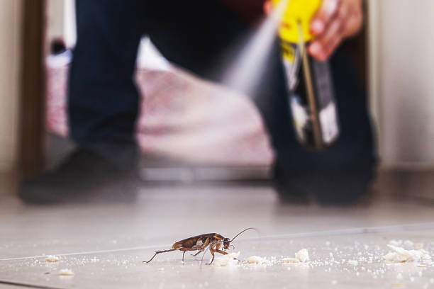 Best Affordable Pest Control Services  in Fairfax, MN